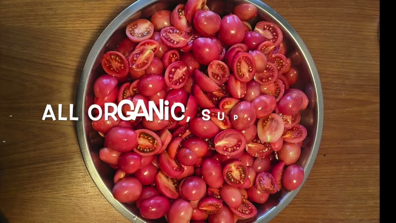 Fridge-Safe Organic Passata from My Own Tomatoes - Reverse Homesteading