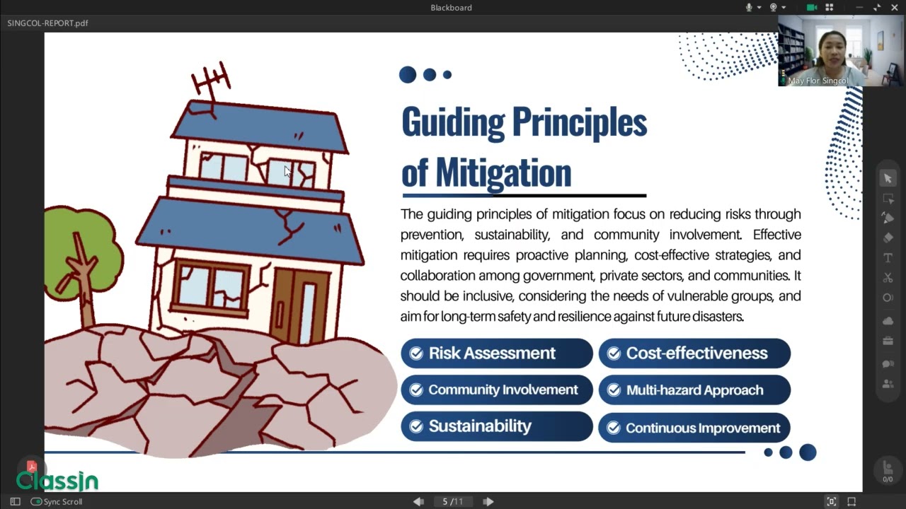DISASTER MITIGATION