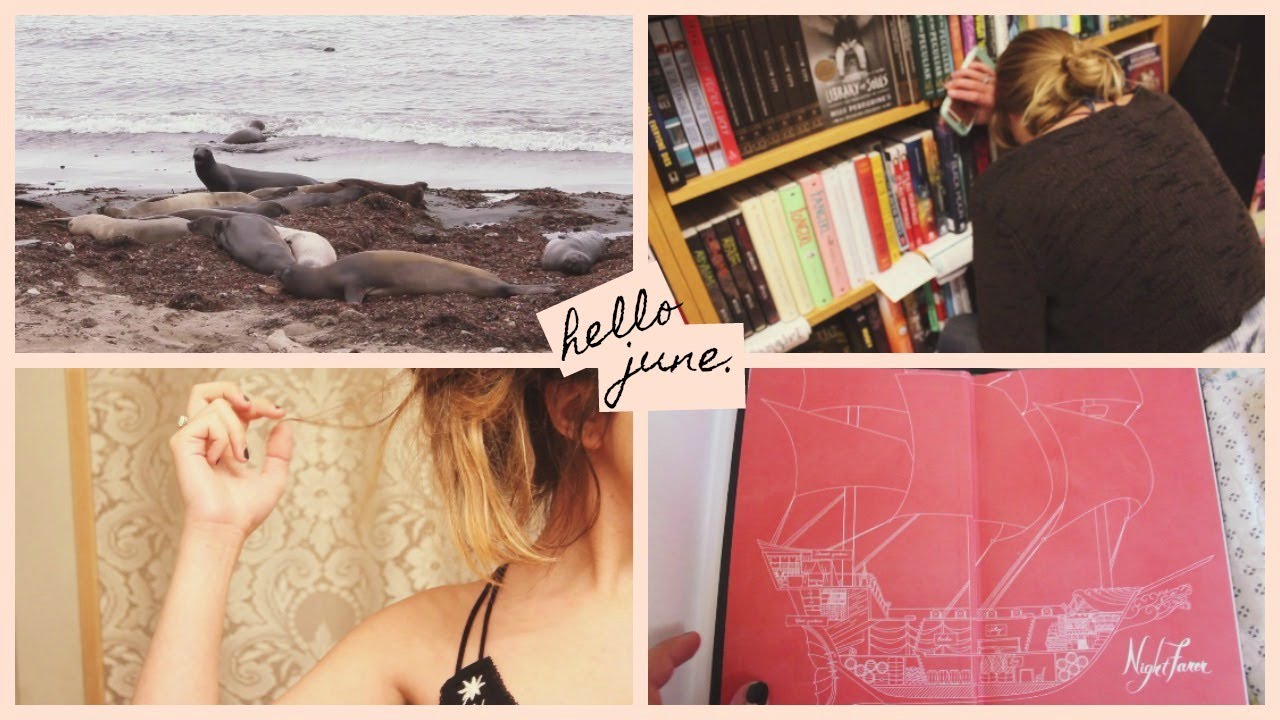 hello june ♥︎ {cliff adventures & bookstore breakdowns...uh oh}