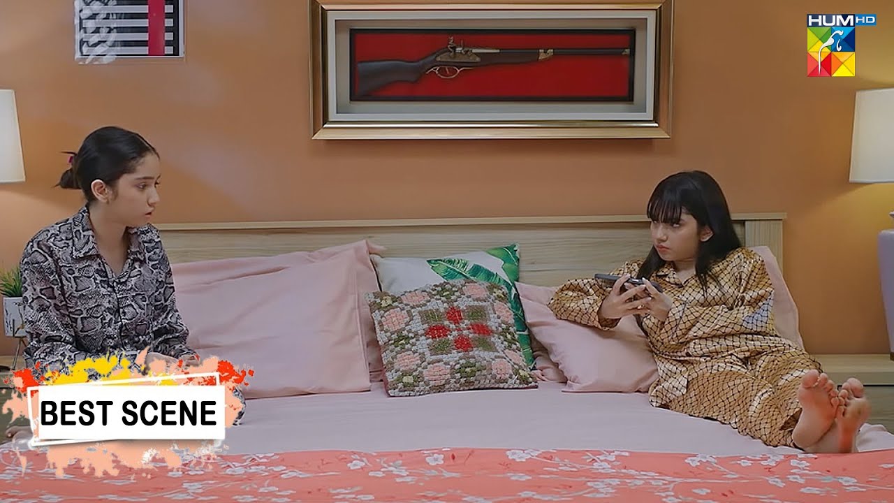 Judwaa - Ep 17 - Best Scene 03 - #ainaasif #adnanrazamir - HUM TV