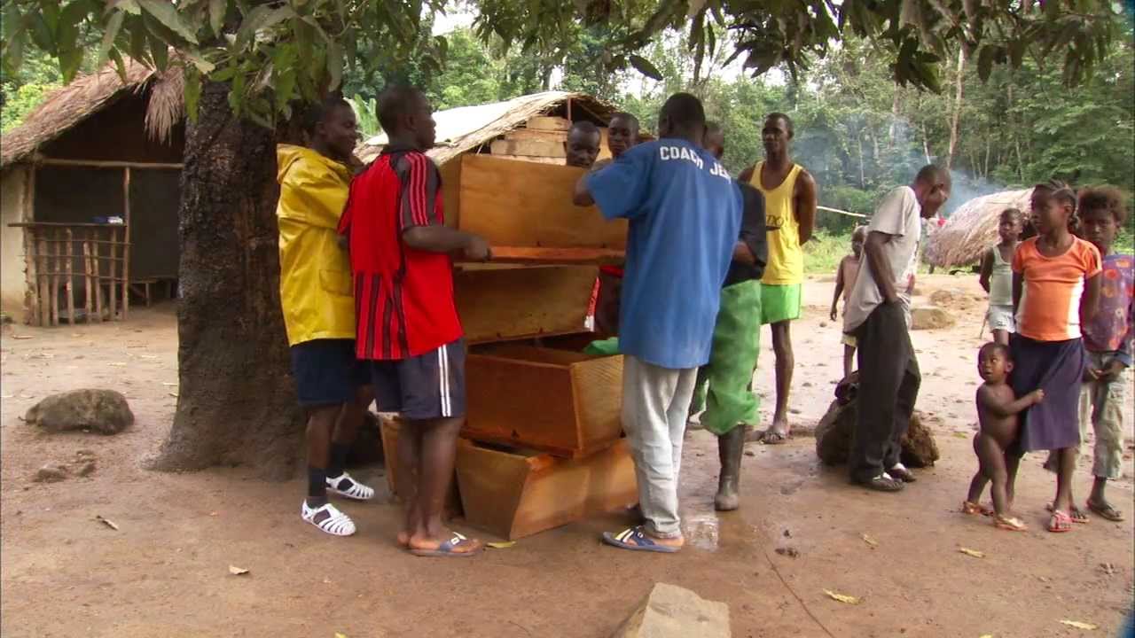 Beekeeping Benefits Liberia (UMTV)