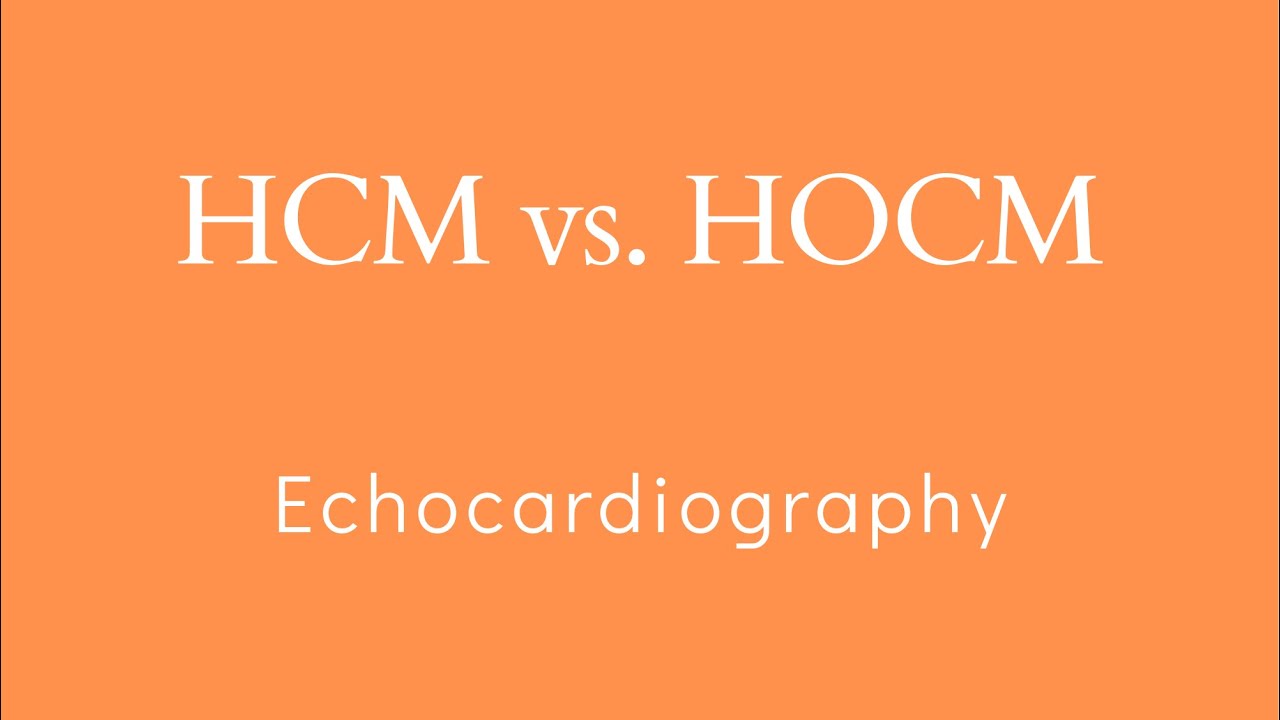 HCM vs. HOCM in Echocardiography