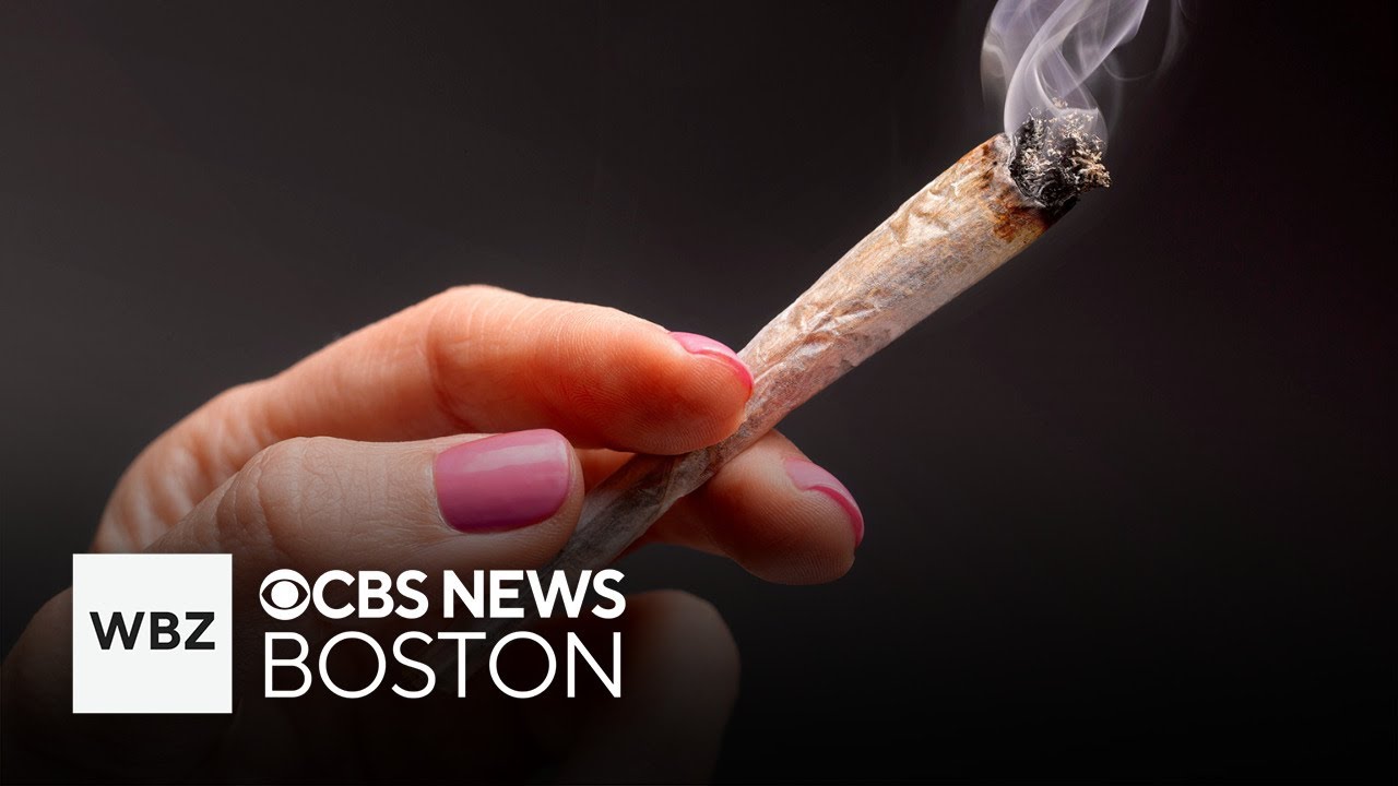 Cannabis cafes get green light in Massachusetts