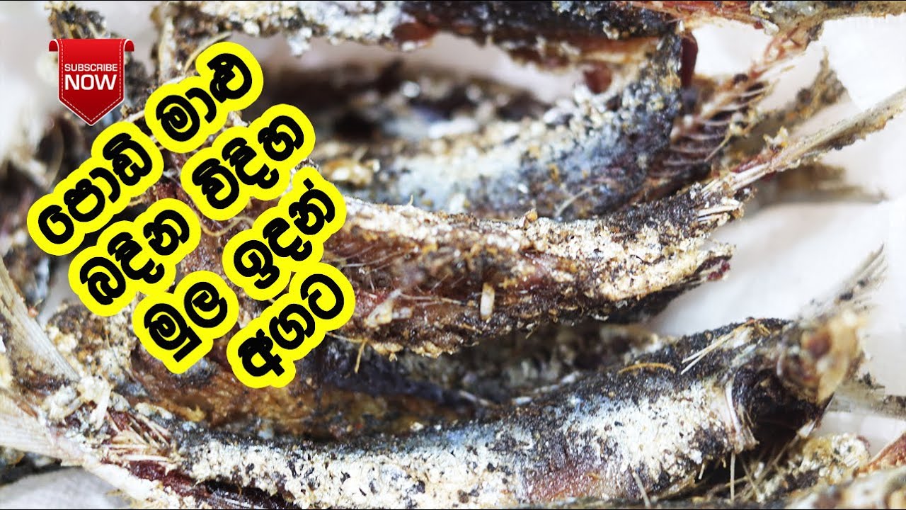 ලේසියෙන්ම පොඩි මාළු බැදගන්නෙ මෙහෙමයි -  Malu Bedala | Fish Fry Recipe Sinhala | LK Kitchen