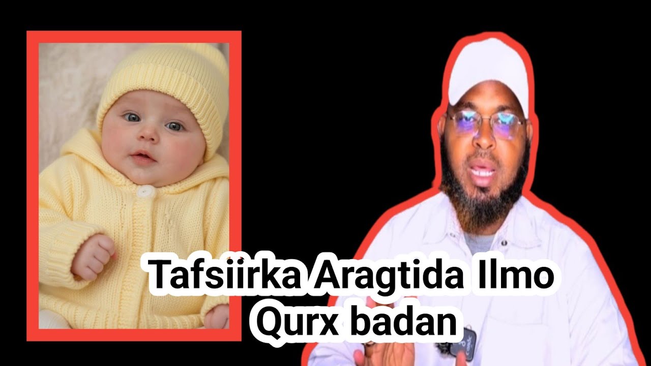 Tafsiirka Aragtida Ilmaha Yar 🤔