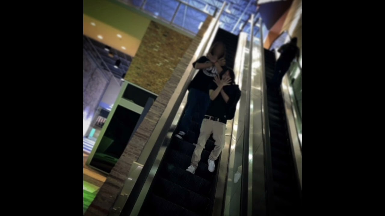 sylene xo - F.E.D #ALaOrden🧩👻🎡