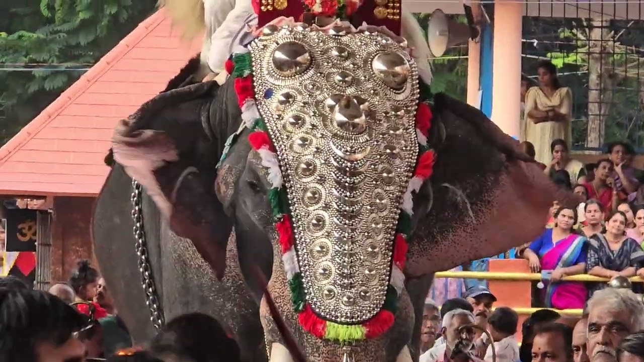 Pisharikavu 2025.മേള പ്പെരുക്കം. വിനോദ് കാഞ്ഞിലശ്ശേരി &ടീം
