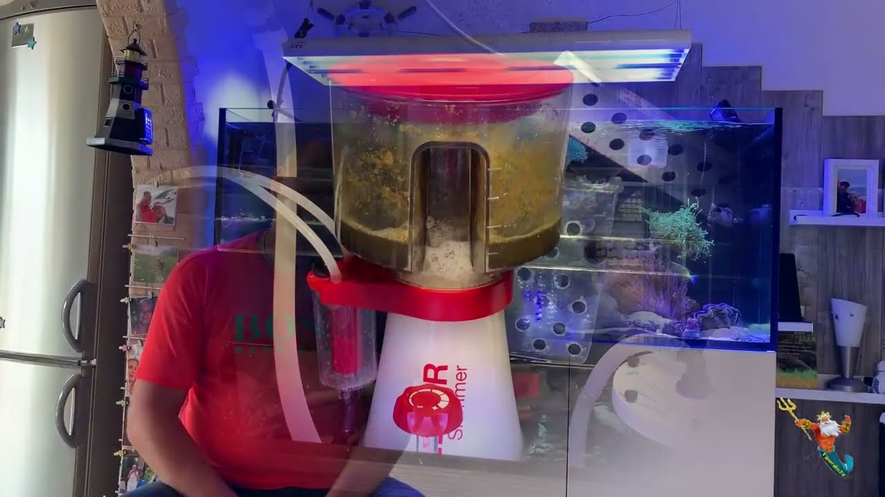 Abschlussbericht  Teil 3 Langzeittest Red Sea Reefer Skimmer RSK 300