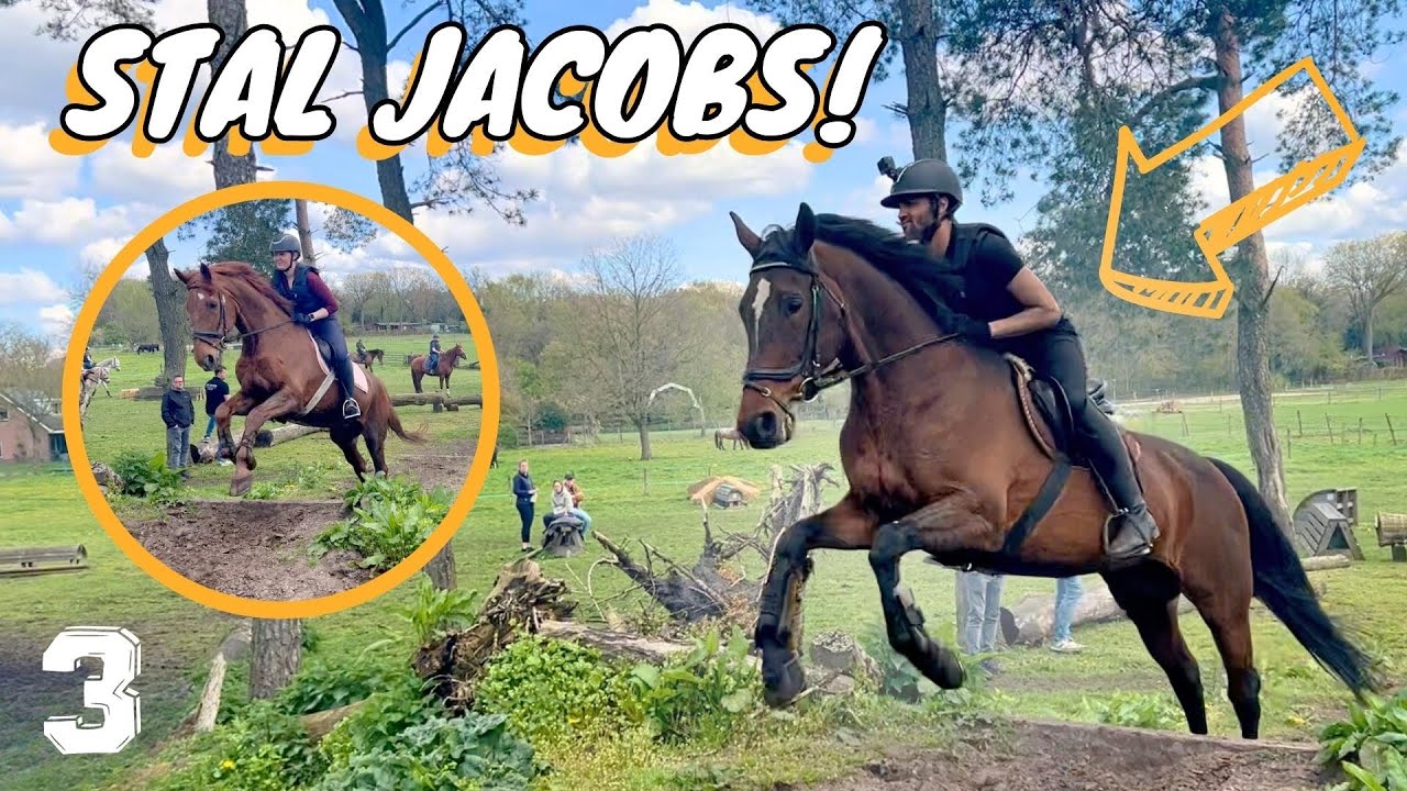VOOR HET EERST CROSSEN op het VOLWASSEN PONYKAMP! | KAMPVLOG #03