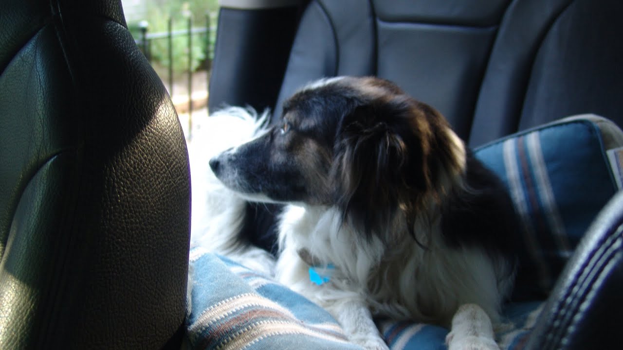 RIP Maggie Mae Hampton