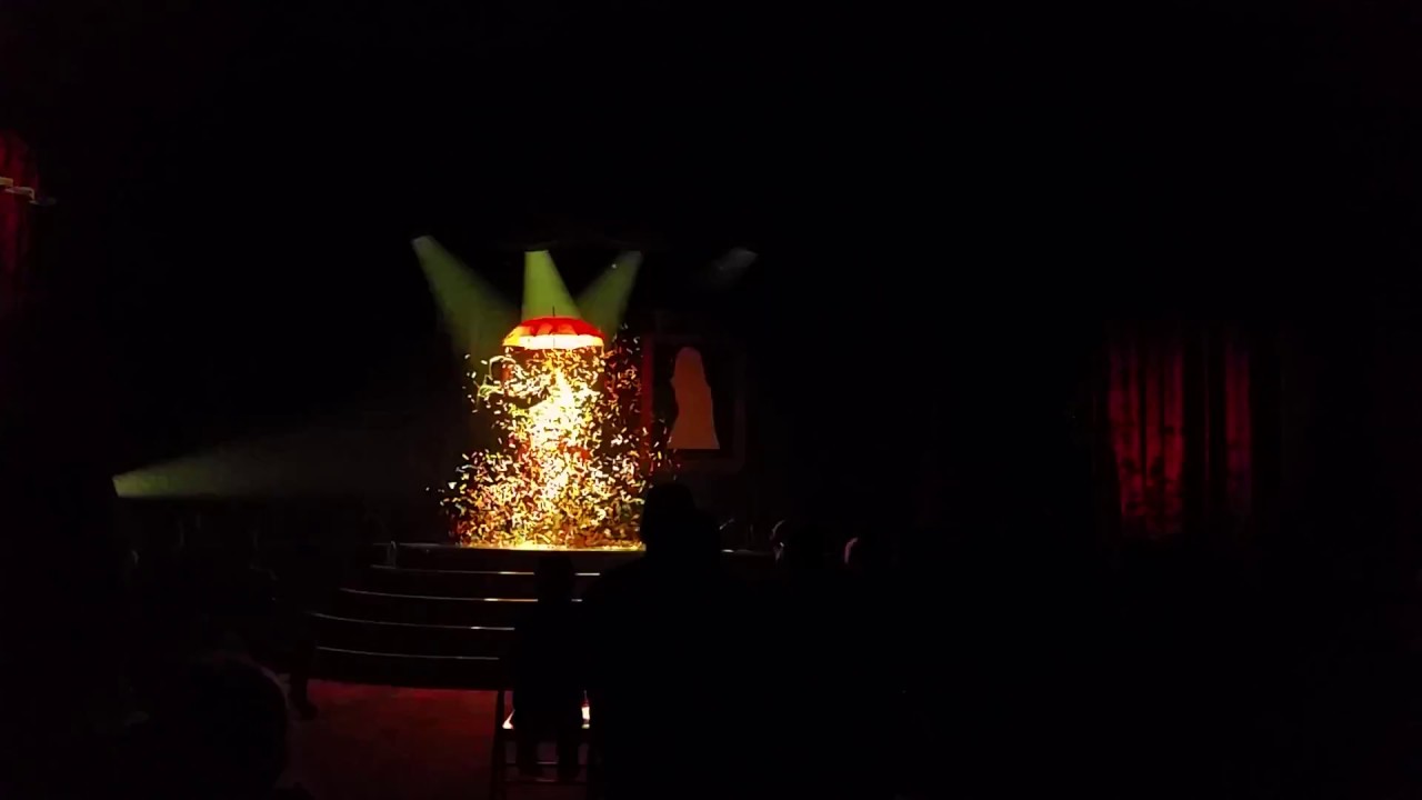 Artist's Dream and Squozd - Nick and Amanda Norton