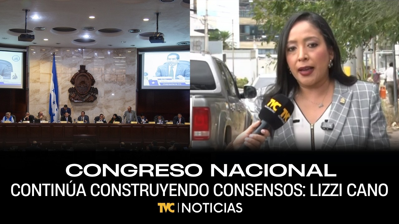 Congreso Nacional continúa construyendo consensos para aprobar la ley de reactivación económica,Cano