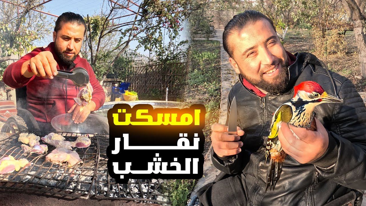 اطيب غداء لحم مشوي على الجمر ،وامسكنا نقار الخشب