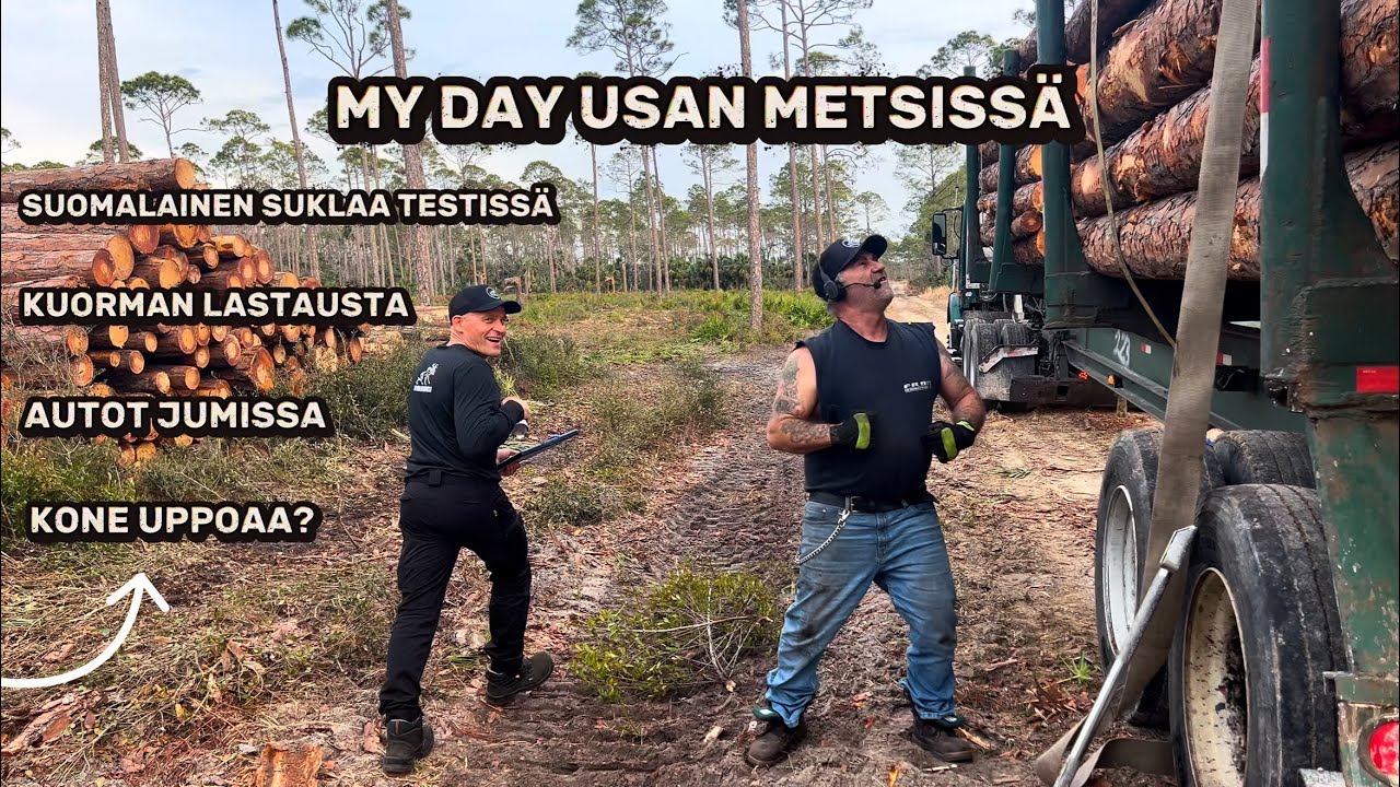 MY DAY USAN METSISSÄ