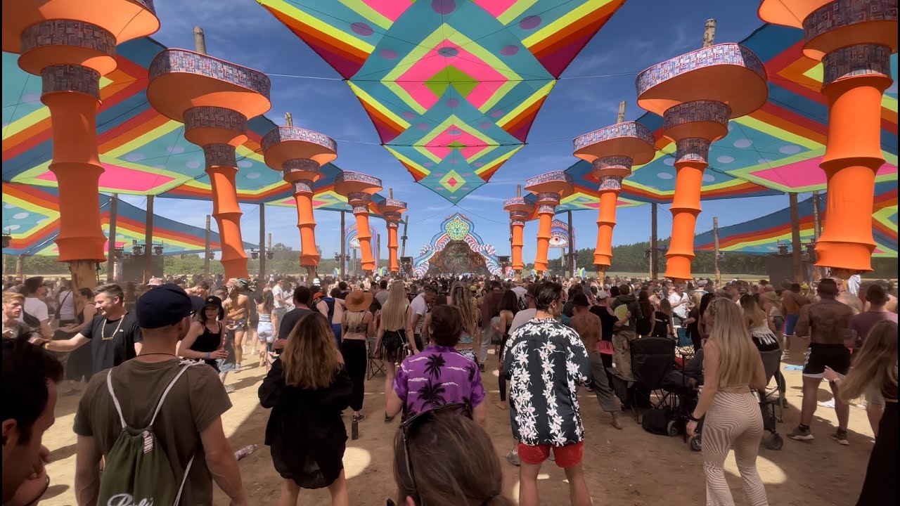Psychedelic Experience 2022