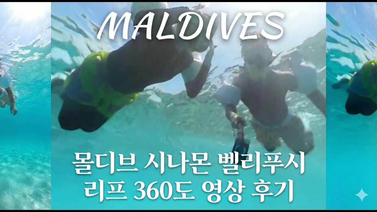 여기 리프 미쳤다! 시나몬 벨리푸시 하우스리프 스노클링 360도 영상