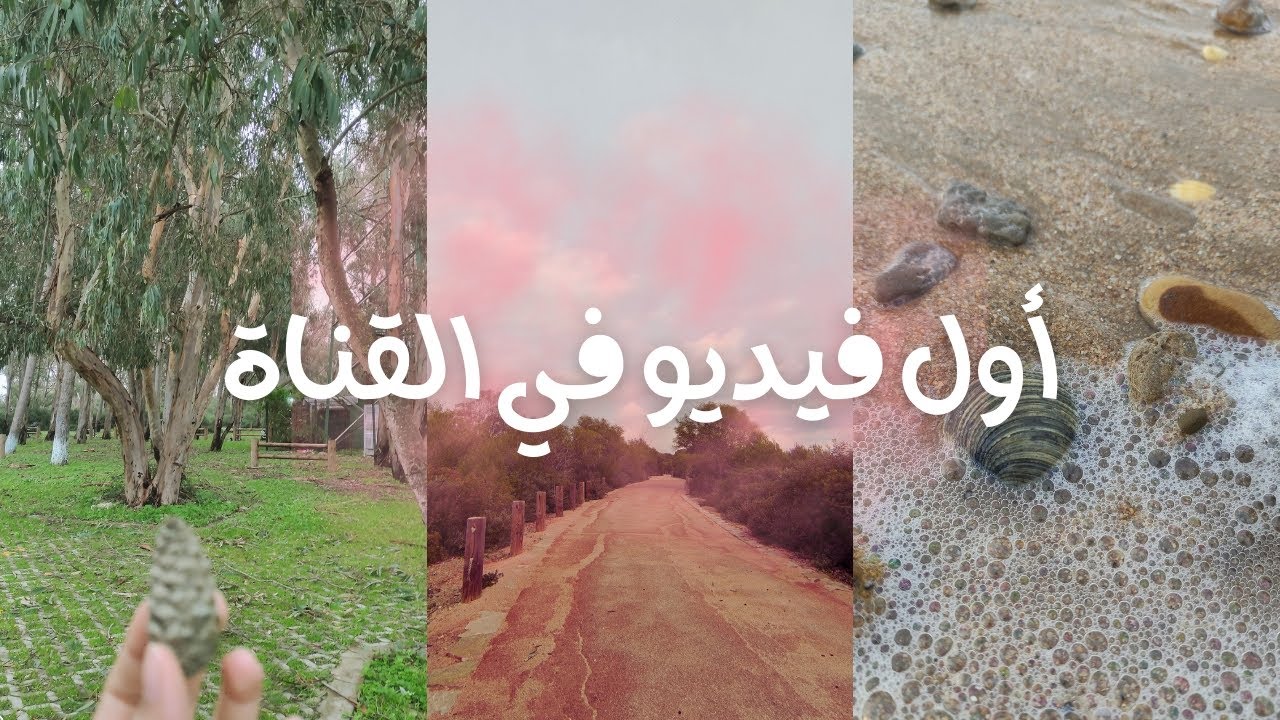 طبيعة هادئة | أول فيديو لي🙈🌸🌿..Calm Nature | Mini Vlog✨