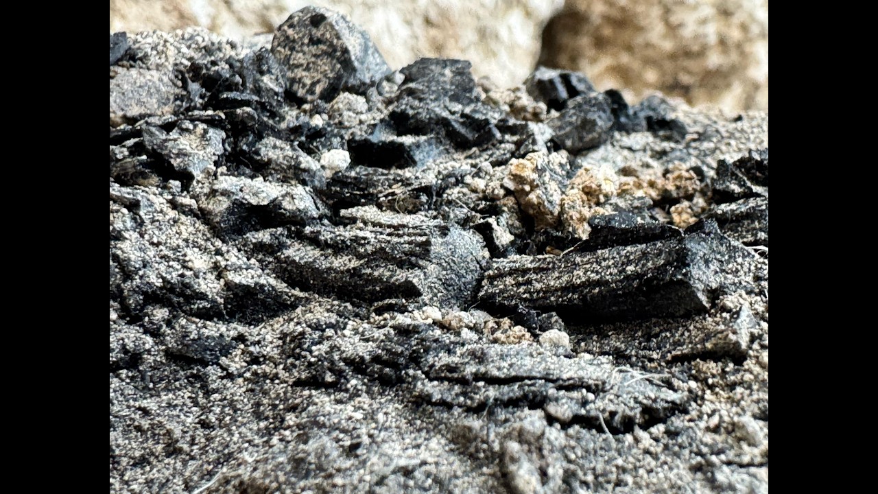 Burnt Wooden Beams from the Destruction of the First Temple Discovered in the City of David