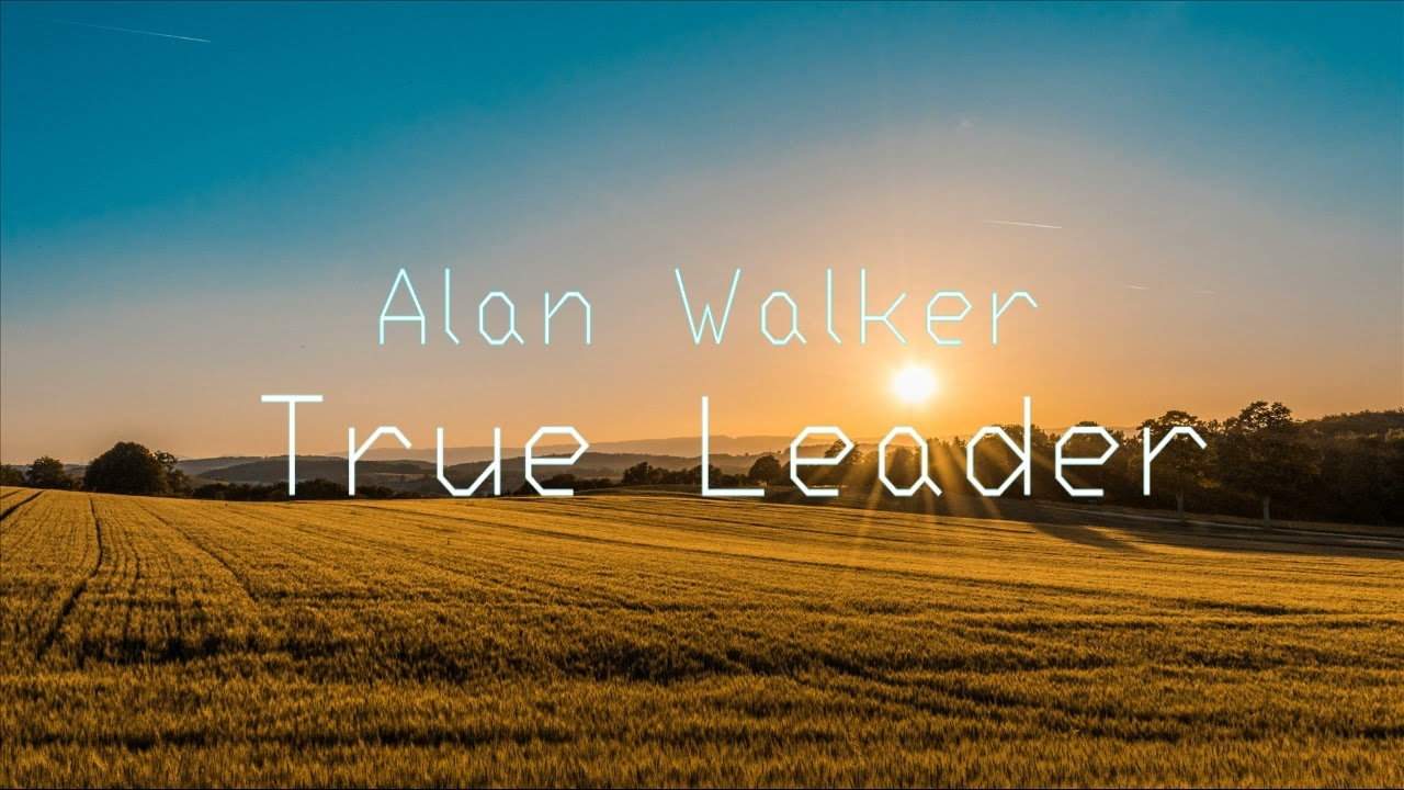 Alan Walker true Leader