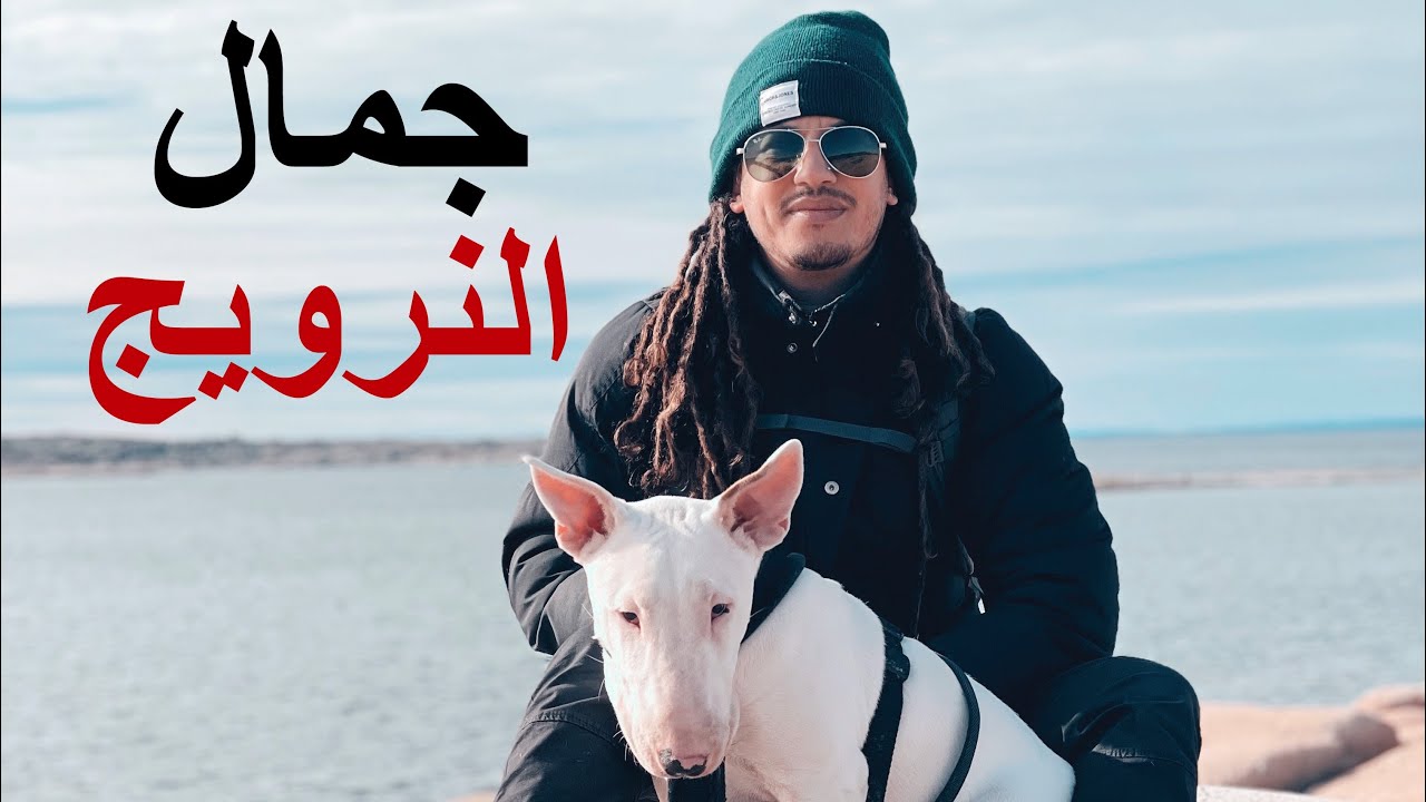 من أجمل الأماكن في النرويج لقضاء العطلة