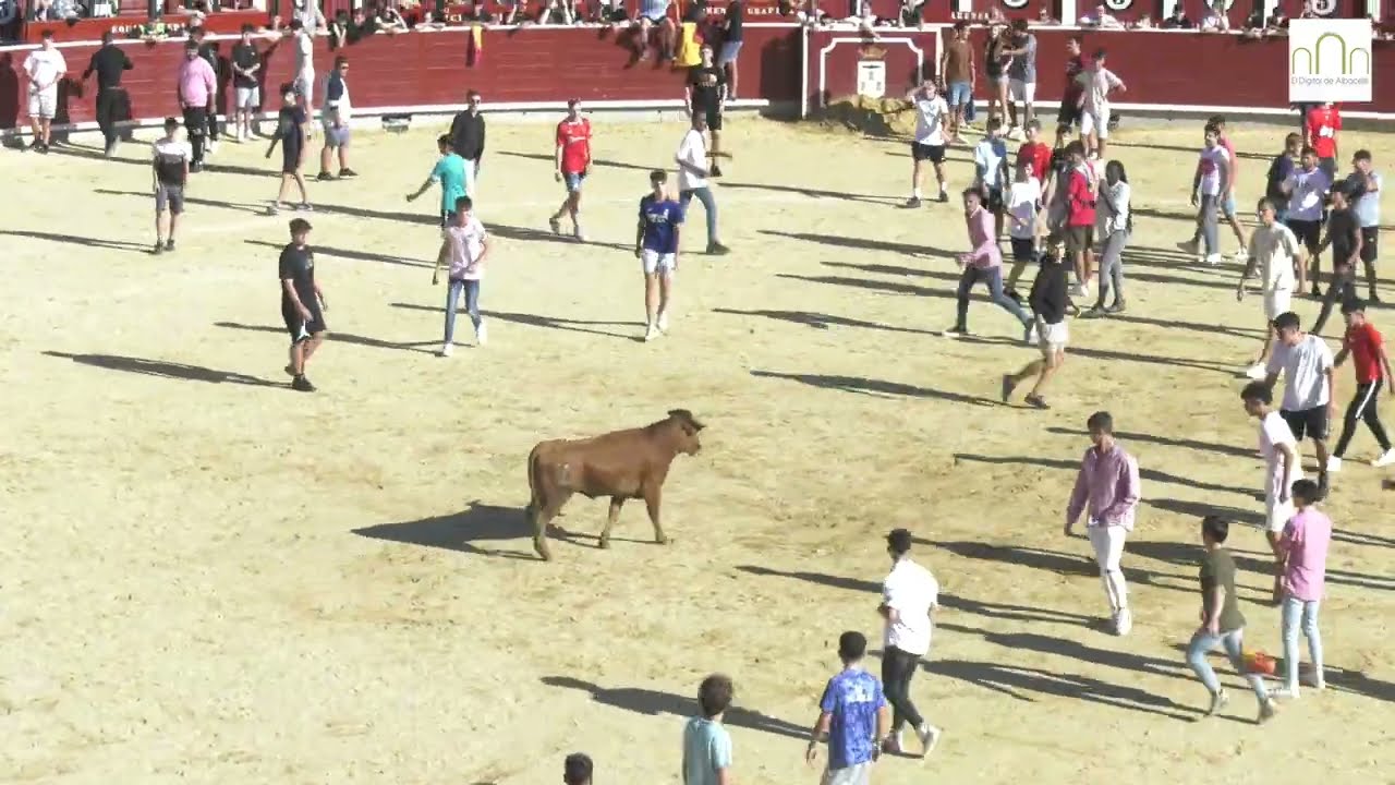 Vaquillas en la Feria de Albacete, 17 de Septiembre de 2022
