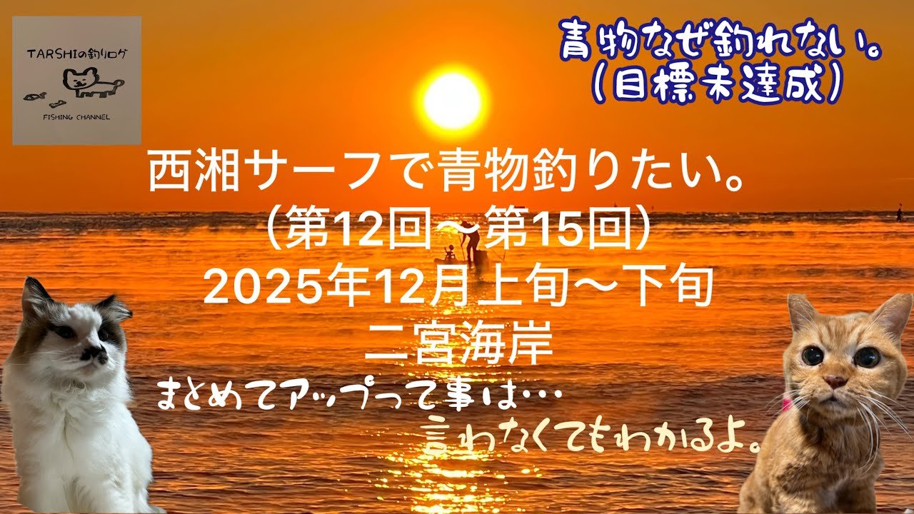 西湘サーフで青物釣りたい。٩( 'ω' )و（第12回〜第15回）　#酒匂海岸 #青物 #サバ #コノシロ #国府津海岸 #二宮海岸 #西湘サーフ 