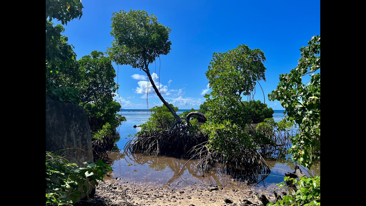 Weno to Udot  Island Boating Chuuk Lagoon