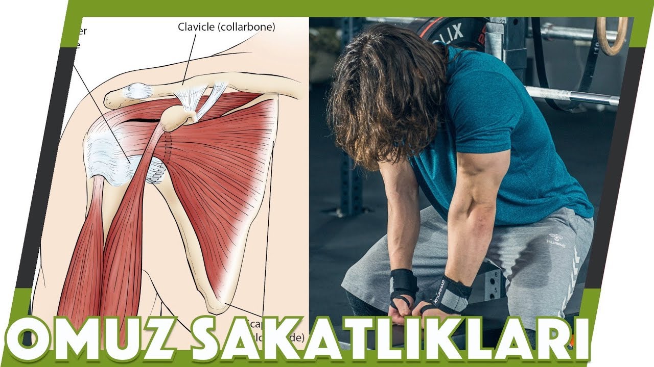 OMUZ SAKATLIĞINA SON VER! (Omuz Çıkığı, Skapula Alata, Biceps Tendinit) w/Fizyoterapist Cem Koçak