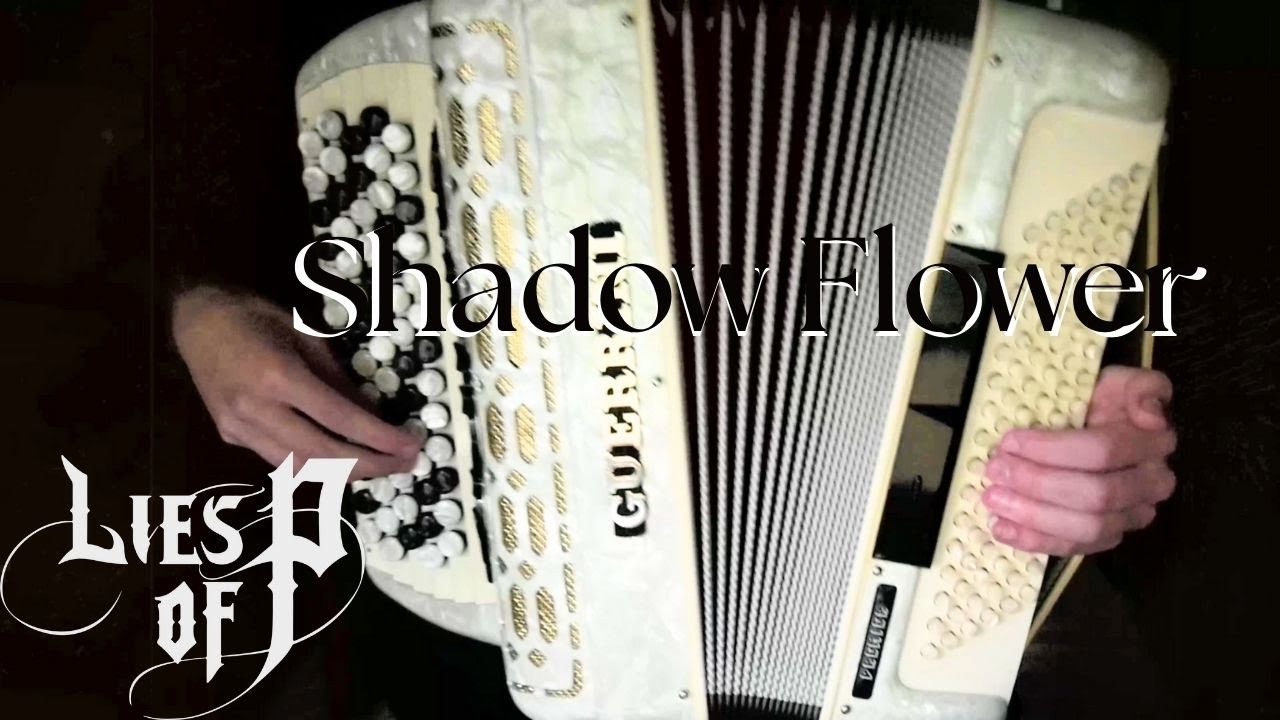 Shadow Flower  from Lies of P - Accordion solo