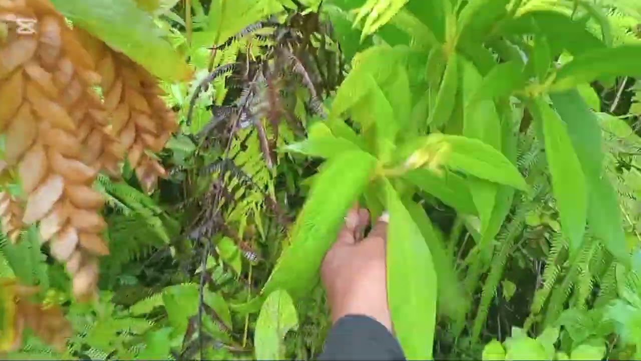 Back down memory lane come with me# subscribe #