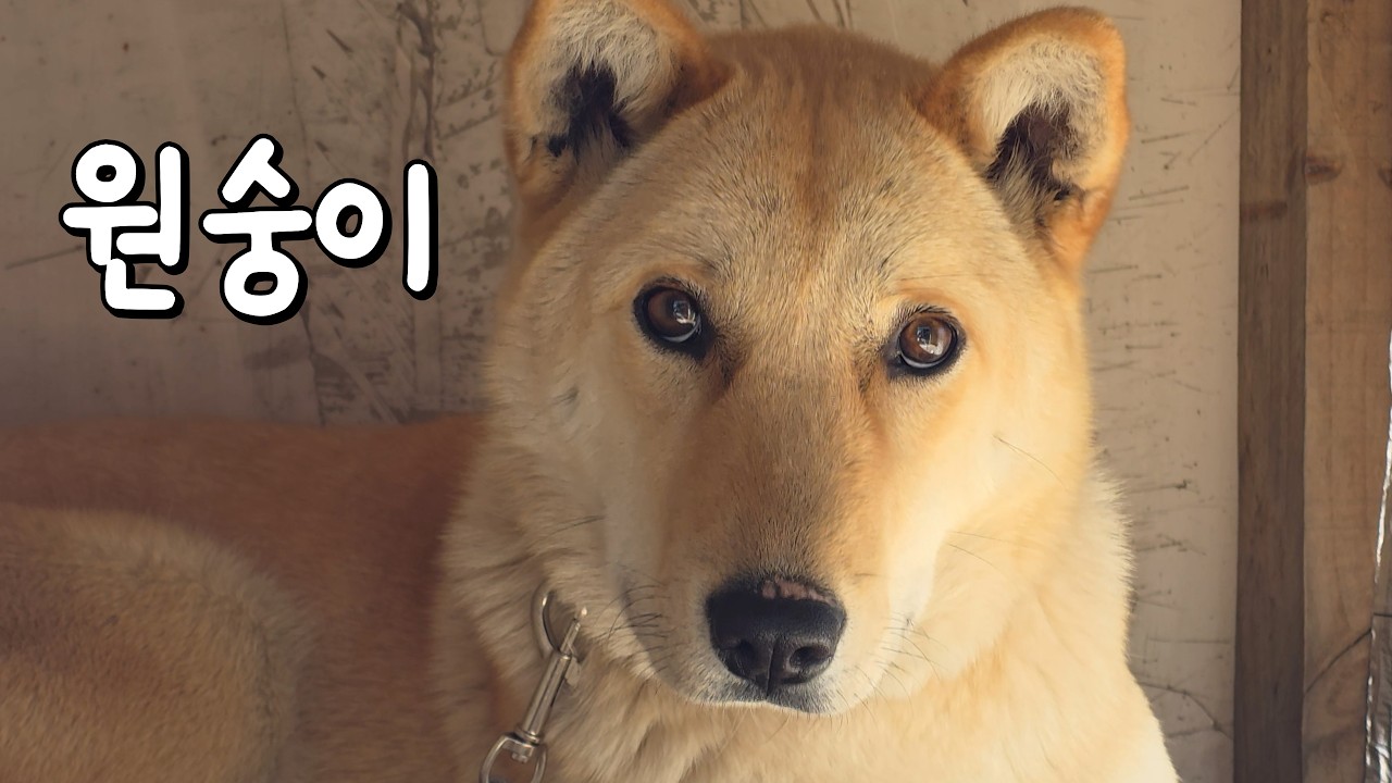 이 정도면 성공한 겁니다