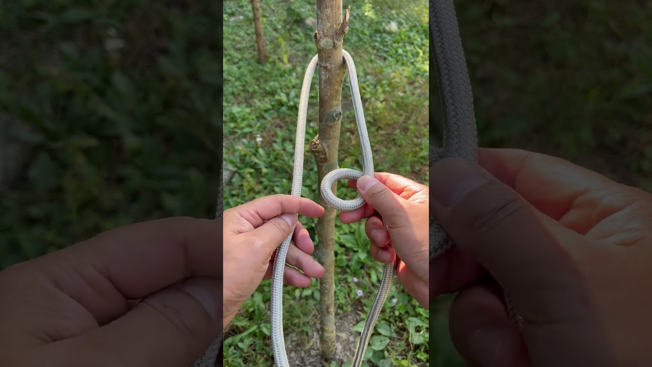 The King of Knots.
