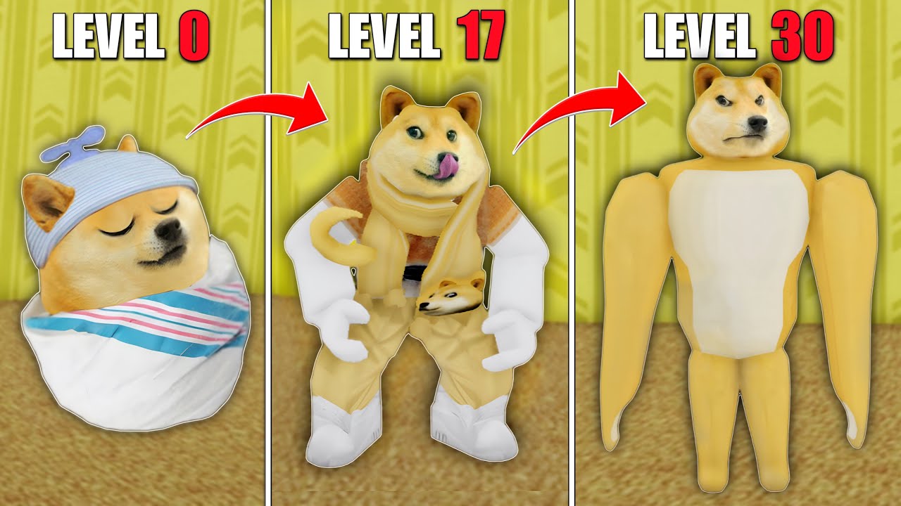 As Evoluções de Doguinho no Roblox! | Backrooms Morphs