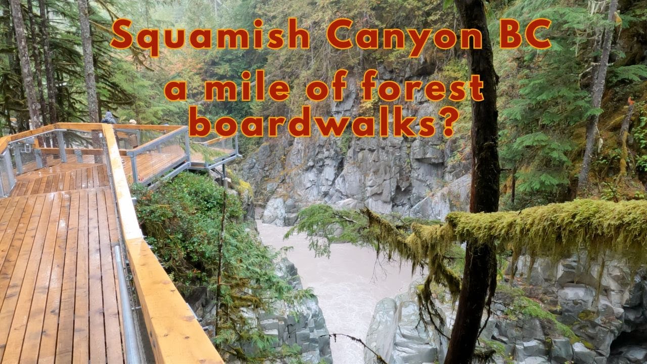 Have you ever seen 1 mile of forest boardwalks?  | Squamish Canyon BC | Day tripping
