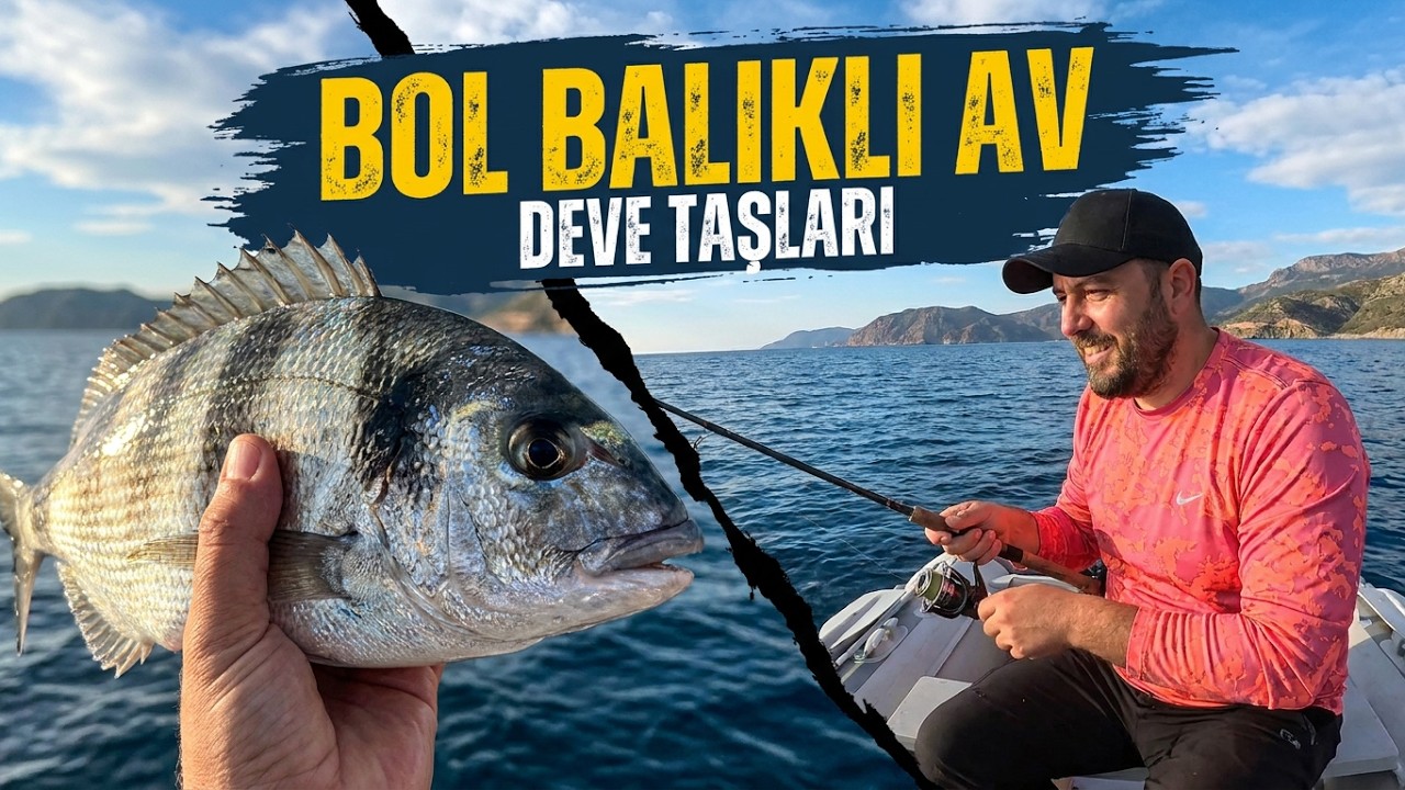 Karaburun Karareis Deve Taşları Civarında Bol Karagözlü Bir Av. Geçit Çupraları Başlamamış