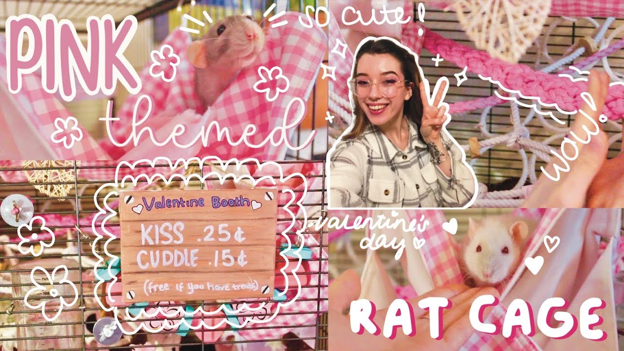 PINK THEMED RAT CAGE ♡ cage accessories & tour!