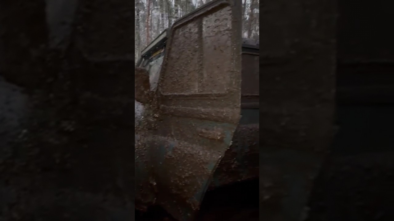 Чистый jeep позор хозяина