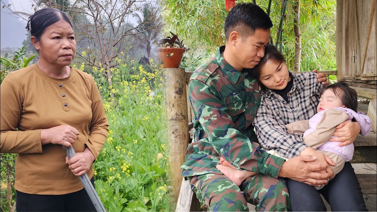 Harvesting Ginseng in the Mountains &ndash; A Husband's Survival Journey for His Family | Li Xiaohe