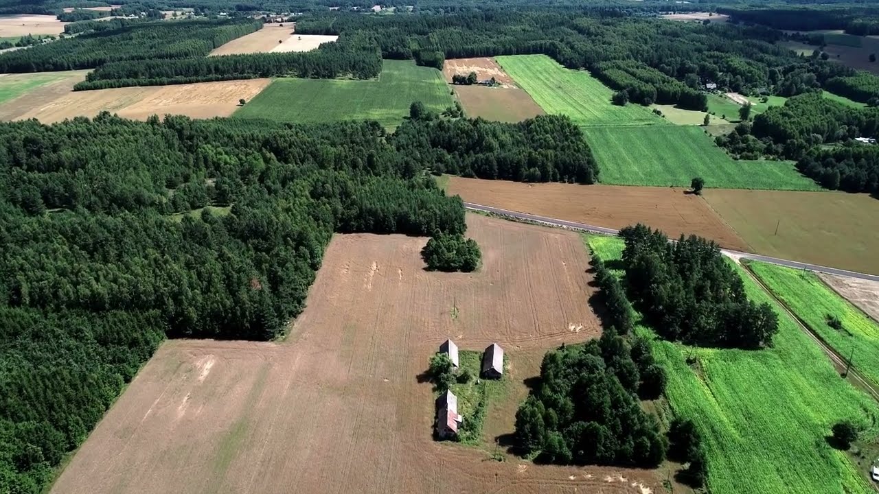 Siedlisko Zalesie na Podlasiu