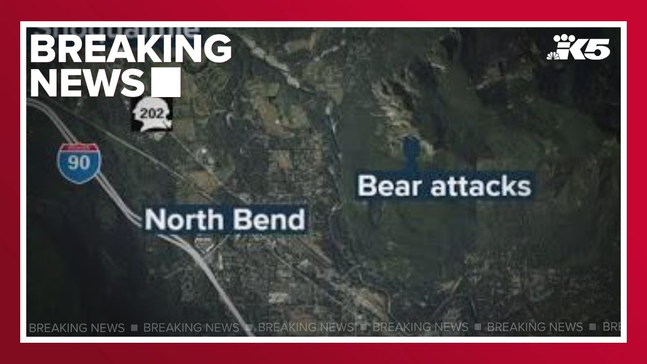 2 teens injured in bear attack on Mount Si