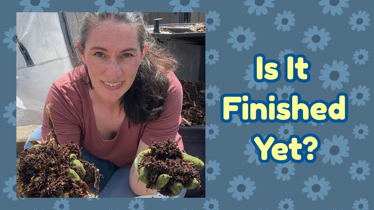 Finished Compost: What Does It Look Like? Composting For Beginners