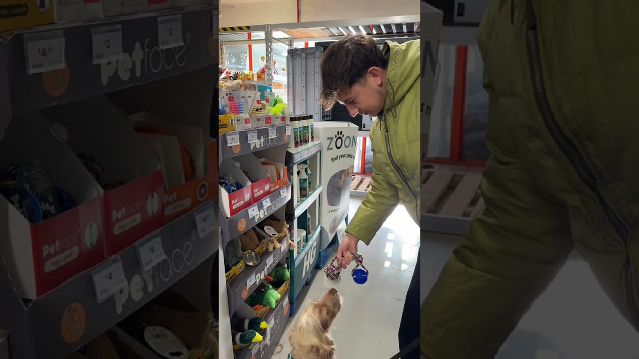 food + dog #foodtruck #leatherhead #lobstertail #breakfast #ukbreakfast