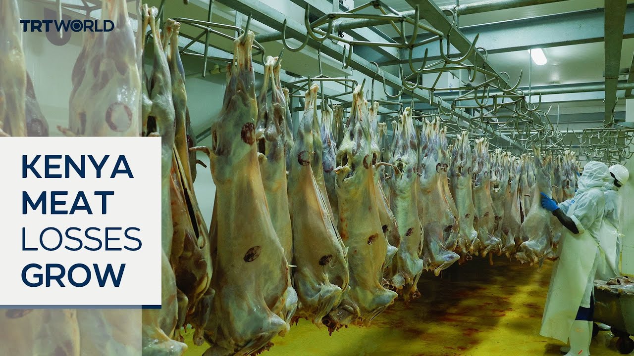 Экспорт мяса из Кении резко сократился из-за войны с Ираном, которая нарушила торговлю в Рамадан.