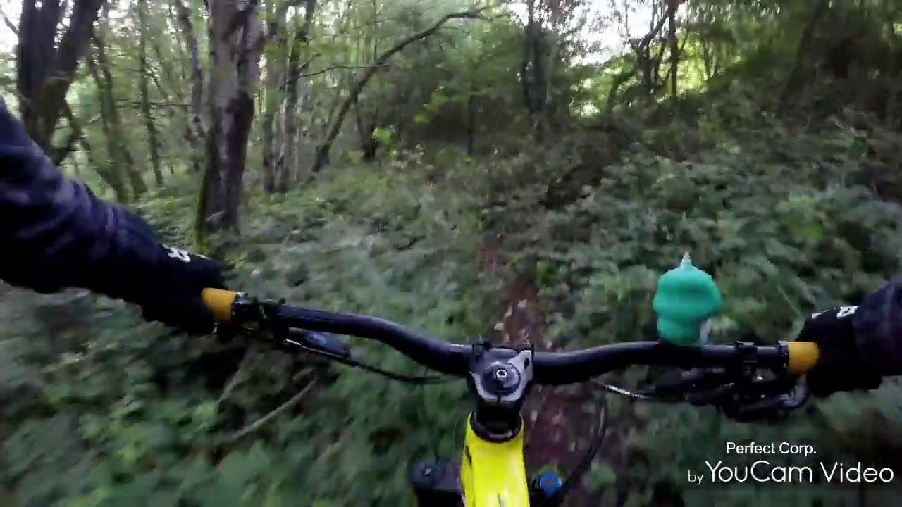 MTB APEDALE COUNTRY PARK LOCAL RIDE VITUS SOMMET VRS  GOPRO5 BLACK STOKE ON TRENT POLISH BIKER UK