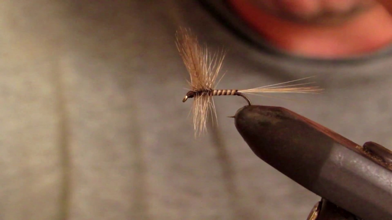 costruzione mosca secca Blue quill - dry fly tying - Costruisce Pietro Lucchini