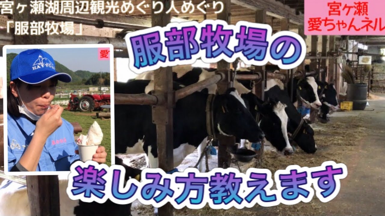 「服部牧場」青空と牛とジェラートを極める【宮ヶ瀬湖周辺 観光めぐり人めぐり第１回】