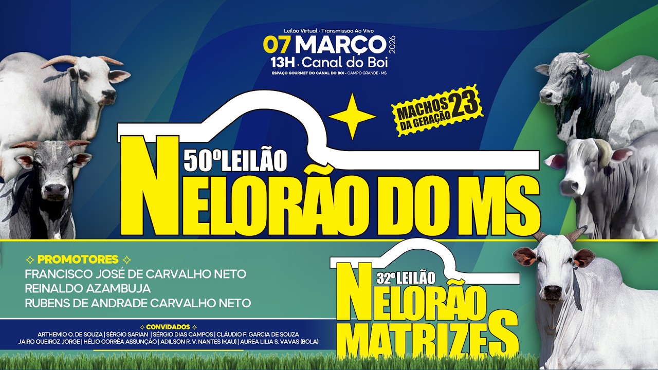 50º LEILÃO NELORÃO DO MS E 32º LEILÃO NELORÃO MATRIZES