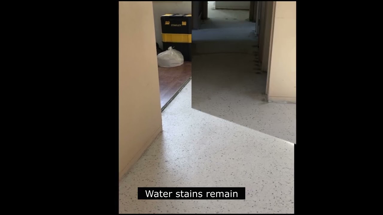 Problems With Terrazzo