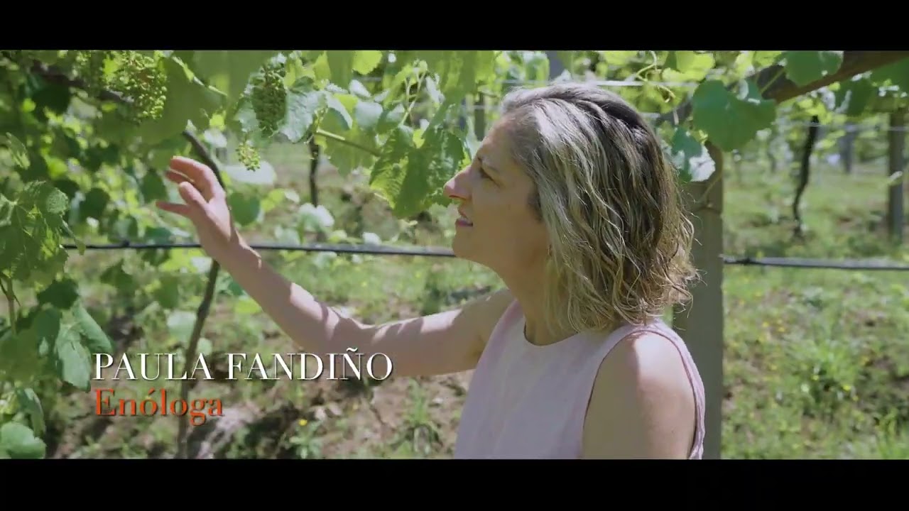 Mar de Frades | Master Bodega | Castellano