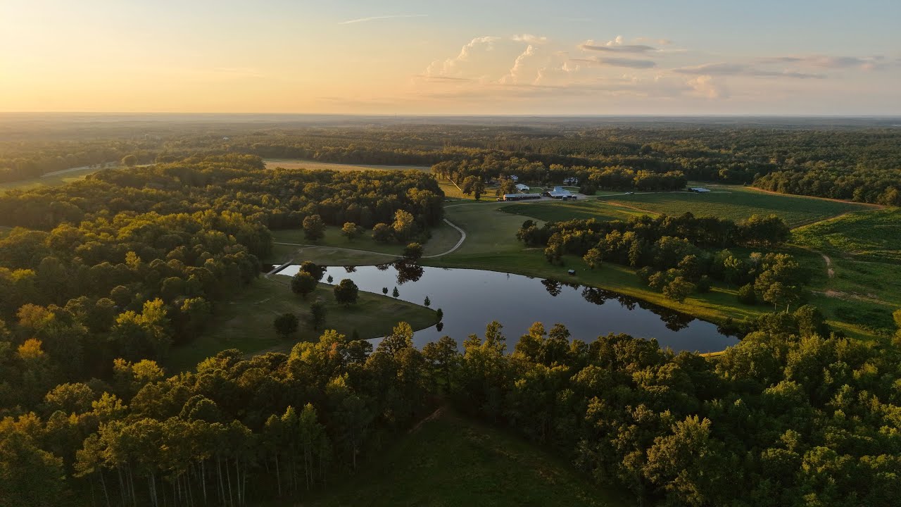 Come Away Plantation: 2,812± Acre Sporting Retreat w/ 1800s Home, 50-Acre Lake & Abundant Wildlife!
